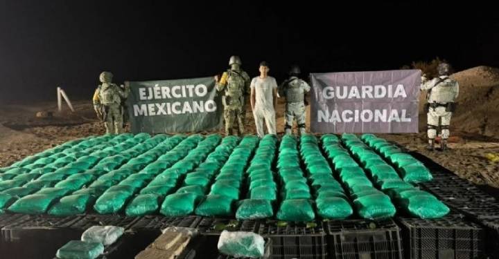 Incautan más de una tonelada de drogas ocultas en cargamento de chiles en Sonora