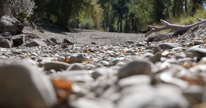 Lawsuit says state isn’t managing rivers for the benefit of all