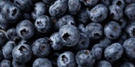 Cuáles son las propiedades antioxidantes de la mora azul