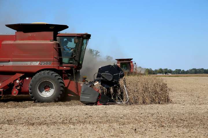In America’s farm belt, the lowly soybean becomes a litmus test for Trump’s tariffs