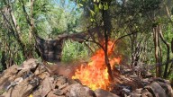Fuerzas federales inhabilitan campamento usado por la delincuencia organizada en Tepuche