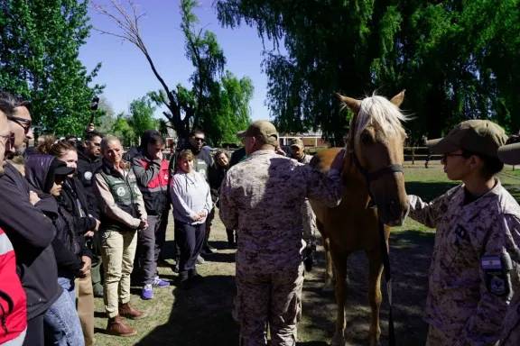 Capacitan a equipos de emergencias en el uso de caballos para rescates en zonas rurales y de montaña