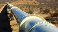 Informe revela impacto logístico histórico: Vaca Muerta necesitará 130.000 km de ductos y miles de trabajadores