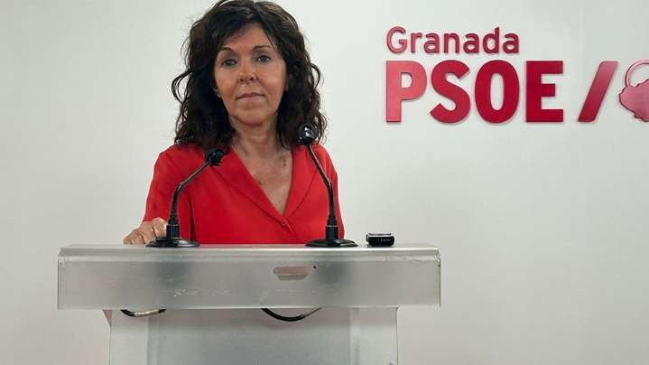 El PSOE-A advierte de que el plan de choque de la Junta ante la crisis del cribado está "plagado de mentiras"