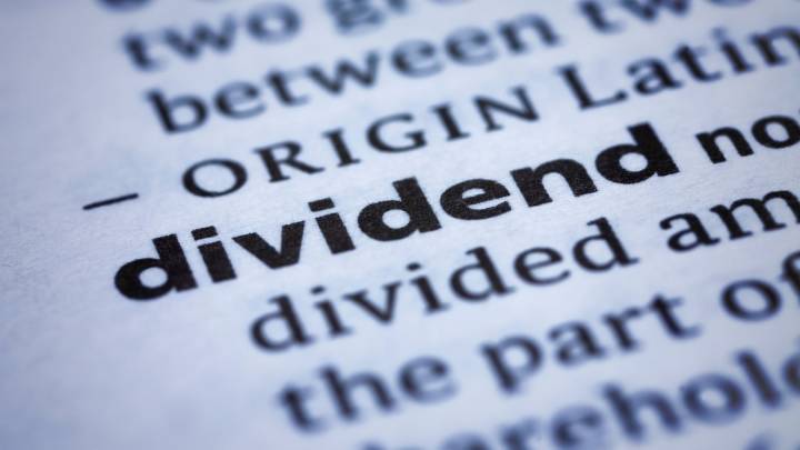 Dividend stocks: Hexaware Tech, Rashtriya Chemicals, and other stocks to trade ex