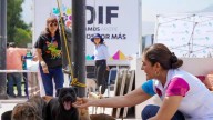 Ramos Arizpe realizará jornada gratuita de esterilización para perros y gatos