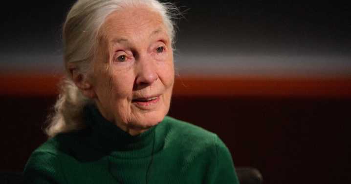 Jane Goodall Recorded a Message About Elon Musk Before Her Death