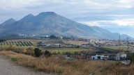 A juicio por estafa en la compra de 62.000 kilos de aceituna para su fábrica de aceite en Pinos Puente