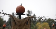 'Ghosts in the Gardens' blends history and spooky tales at the Denver Botanic Gardens