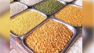 Cabinet Gives Go-Ahead For Rs 11,440 Crore Plan To Achieve Self