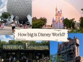 how big is the Walt Disney World resort in Florida?