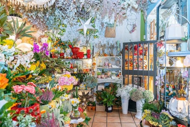Imágenes | El Jardín de Paula, un oasis de flores en plena calle Alfonso