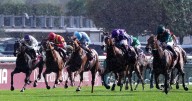 Daryz's thrilling comeback secures victory at the Prix de l’Arc de Triomphe