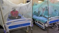 Delhi Burning With Fever: Malaria Explodes To 6-Year High, City On Medical Red Alert