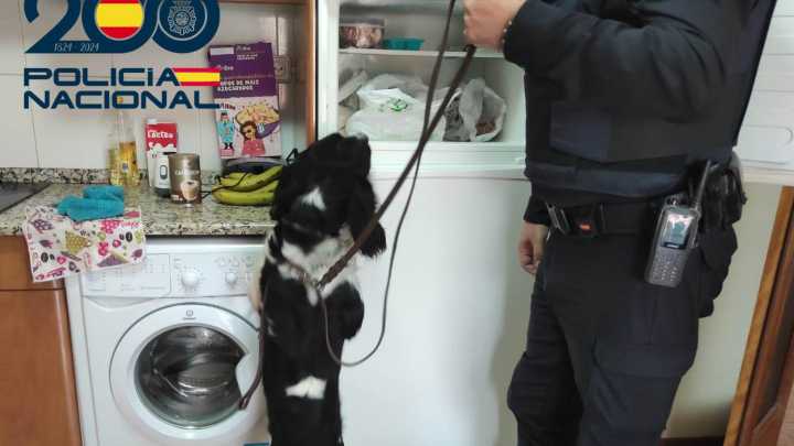 Investigan a un traficante en Burgos por cocaína y se llevan la sorpresa cuando se encuentran un alijo de 500 pastillas de viagra