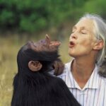 Muere a los 91 años Jane Goodall, experta mundial en chimpancés