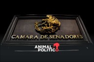 Reforma a Ley de Amparo restringe derechos con ambigüedades y límites a suspensiones: Centro Prodh