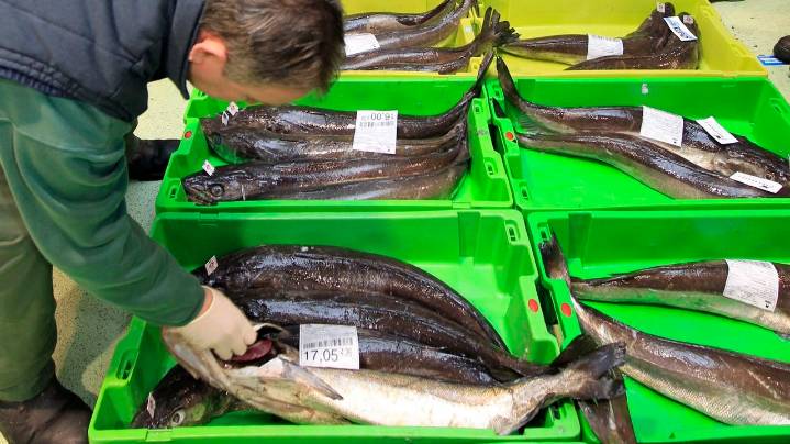 La merluza de Gran Sol sorprende con precios de 10 euros el kilo en las lonjas