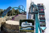 SeaWorld sued after woman knocked unconscious by duck on roller coaster