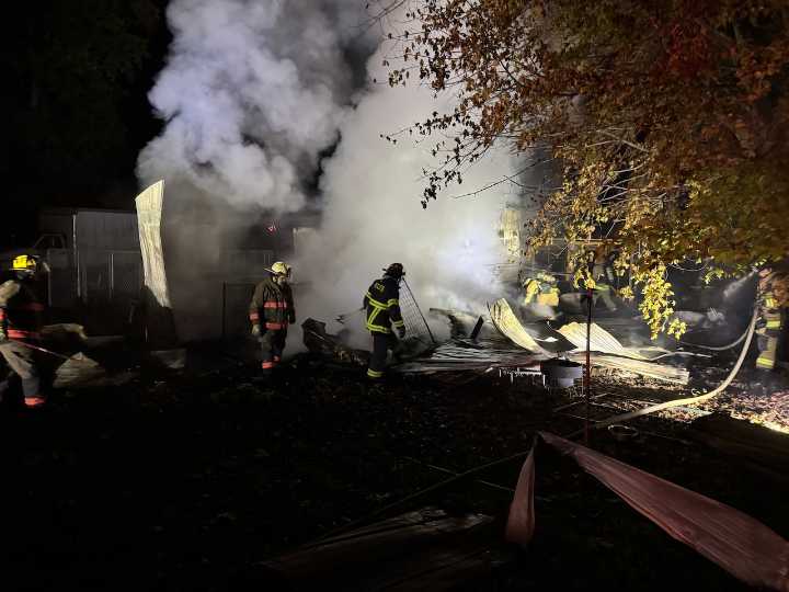 2 dogs, 19 puppies die in Southwest Michigan fire