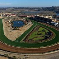 Favorite Sovereignty could miss Breeders' Cup Classic after fever