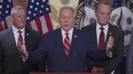 Steve Scalise Whines That Dems Are Being Mean Over Trump's WH Demolition