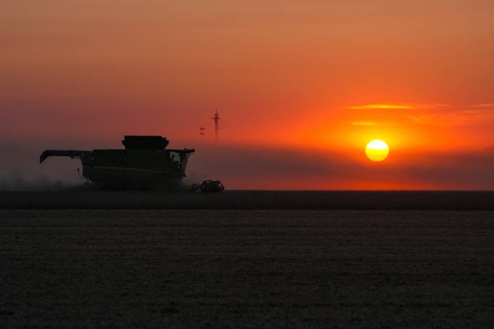 Trump predicts China would resume buying US soybeans