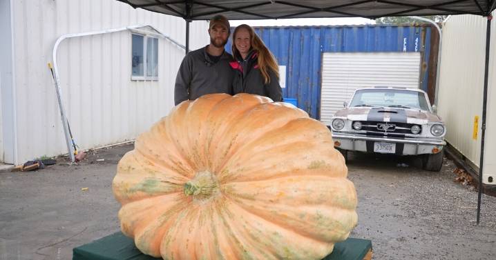 Lockwood grower breaks Montana state record with 1,591