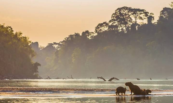 Perú supera el millón de hectáreas certificadas e impulsa la medición de impacto como clave para la sostenibilidad
