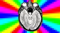 Clickbait Gives AI Models 'Brain Rot,' Researchers Find