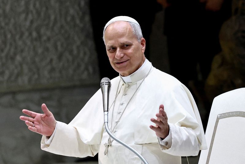 Pope Leo decries 'grave crime' of mistreatment of immigrants