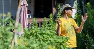 Grow Amsterdam to launch farmers market next year