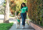 iHeartDogs Partners with Wag! Get $50 in Pet Care Credit