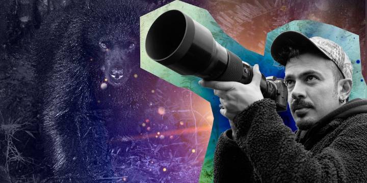 Este es el colombiano premiado por Wildlife Photographer of the Year 2025 en Londres: la imagen de un oso andino fue elegida entre más de 66.000