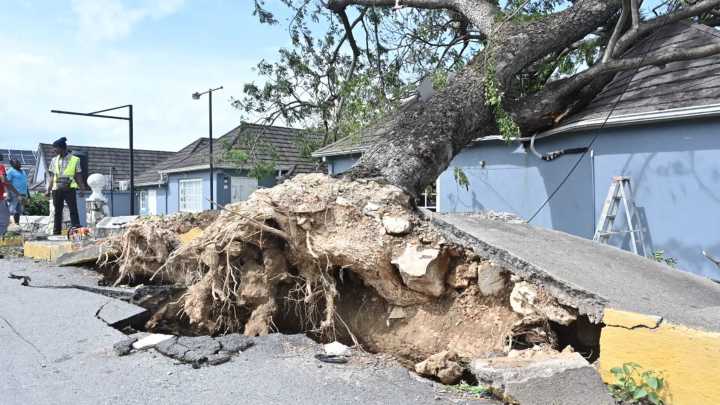 El huracán Melissa deja 48 muertos a su paso por los países del Caribe: "Todo ha salido volando"