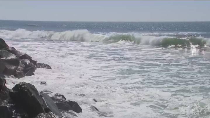 Re:Beach project aims to restore Oceanside's eroding coastline