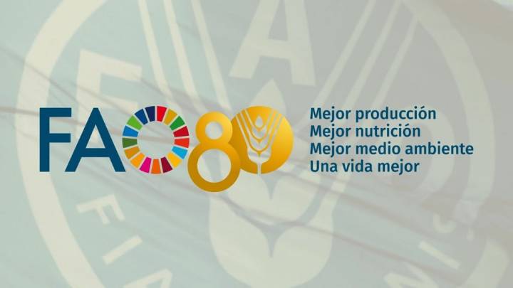 Celebra la FAO su aniversario 80 acentuando la lucha contra el hambre