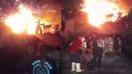 Incendio consume refugio de animales en Nayarit, algunos no lograron sobrevivir