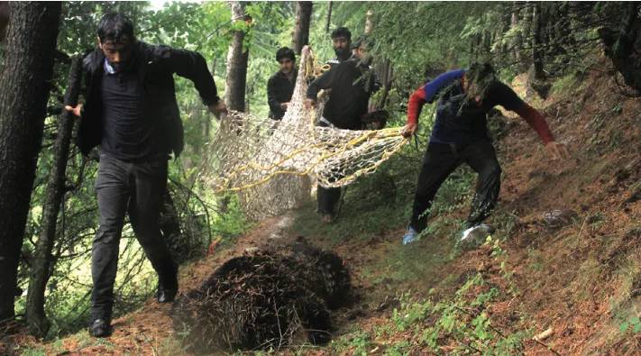 Human-Wildlife Conflict escalates amid harvest season in Kashmir