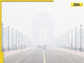 Clean air: Delhi govt extends deadline for crowd