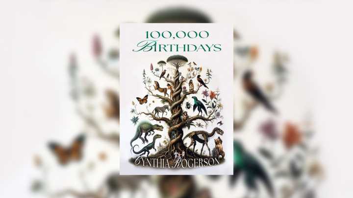 100,000 Birthdays by Cynthia Rogerson review – as fun as it is profound