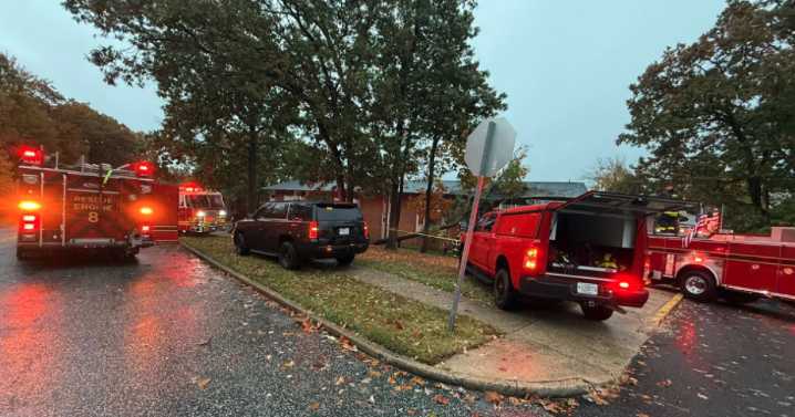 Tree falls into Harford County apartment building during Thursday morning rain storm