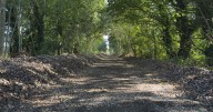 Abandoned Midland railway line turned into 'vibrant’ walking route