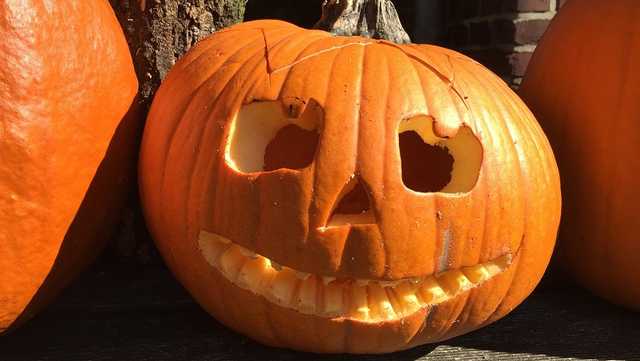 Very Florida Halloween Roundup