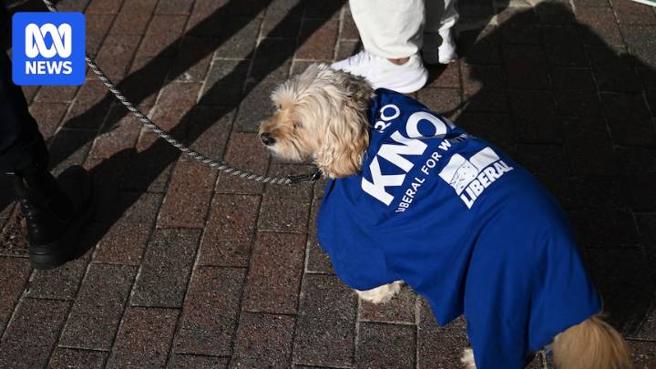 Coalition's climate strategy could learn from the proverb about a dog returning to its vomit
