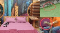 Snake in Bigg Boss house, enters bedroom; contestant catches it and places it inside container
