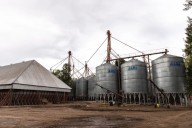 Un histórico acopiador de granos pidió el concurso preventivo de acreedores en Santa Fe
