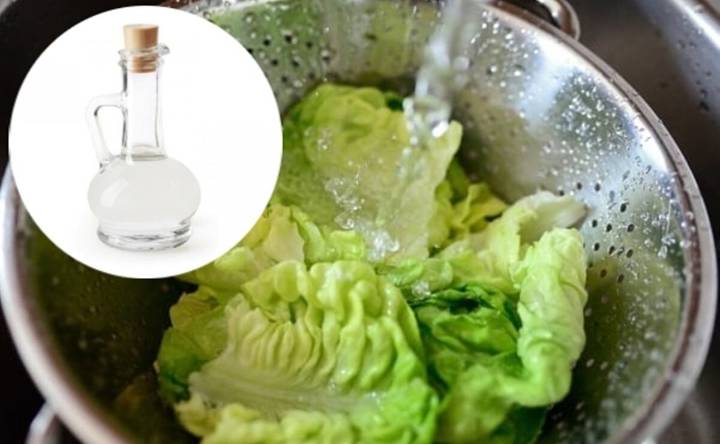 ¿Cómo desinfectar la lechuga de manera sencilla? Evita lavarla solo con agua