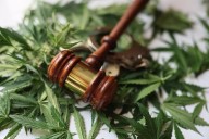 Cannabis trade group sues Michigan over new 24% wholesale tax