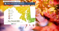 Fall foliage update!